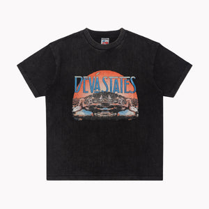 Deva States Idolater Gfx T-shirt – Washed Black
