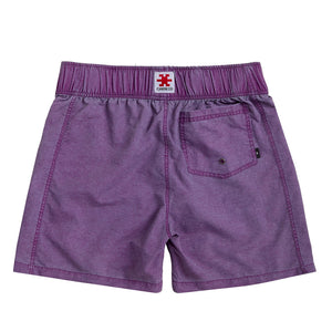 Cabrio OG Washed Shorts - Purple