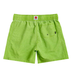 Cabrio OG Washed Shorts - Light Green