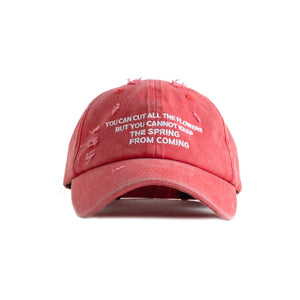 Jungles Jungles Spring Cap – Washed Red