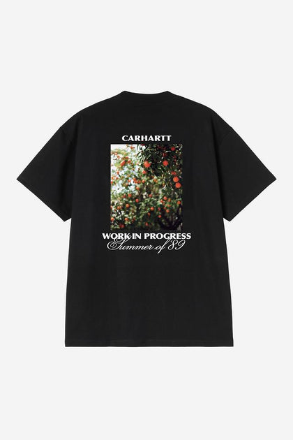 Carhartt WIP S/S Warm Views T-Shirt – Black