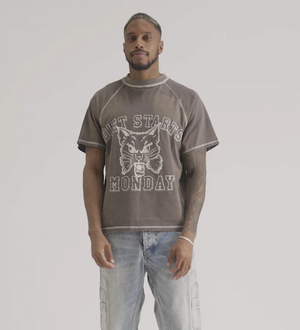 Diet Starts Monday Wildcat Raglan - Grey/White